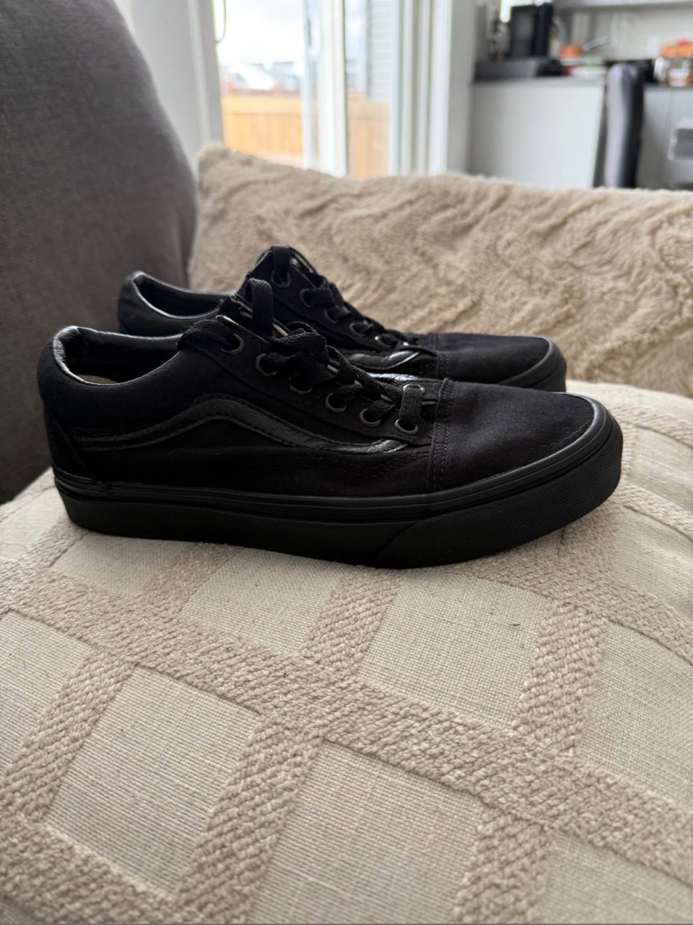 Vans Black Low-Top Canvas Skate Sneakers